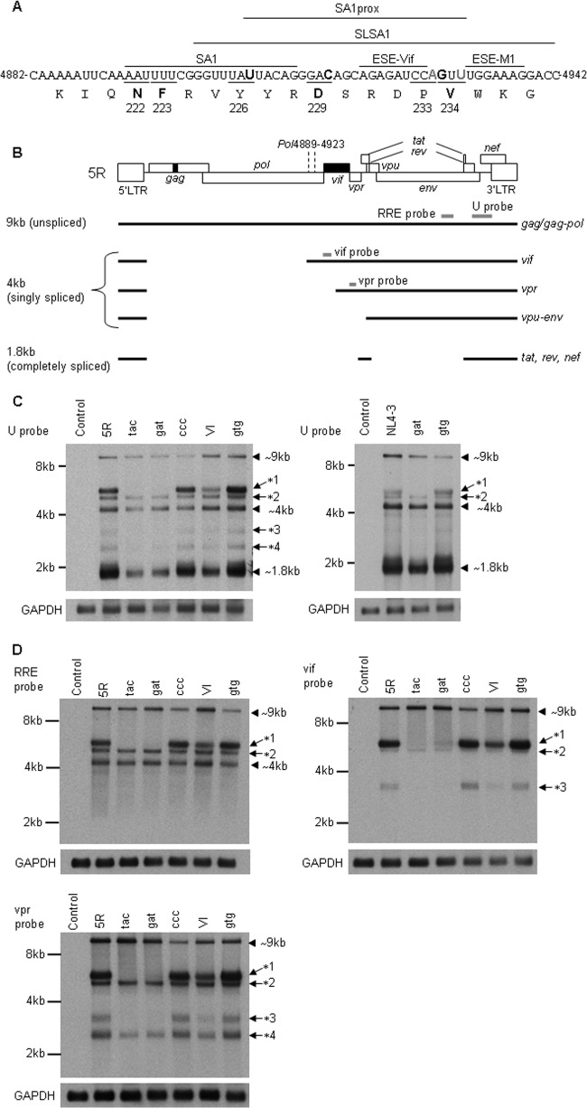 FIG 9