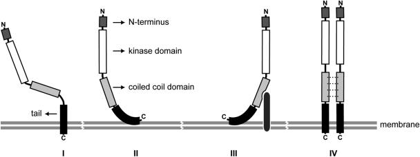 FIG. 10.