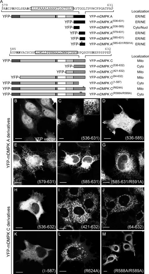 FIG.6.