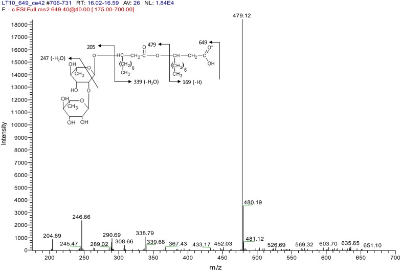 Fig. 3