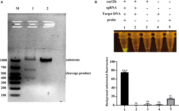 FIGURE 2