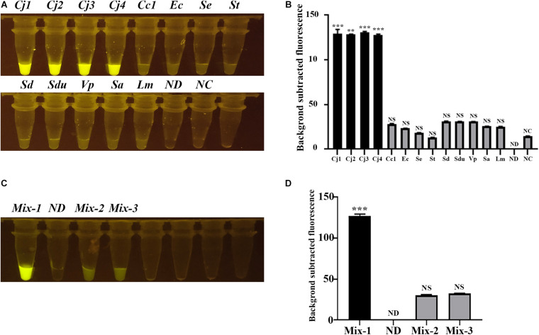 FIGURE 3