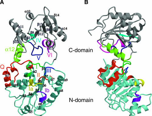 FIGURE 2.