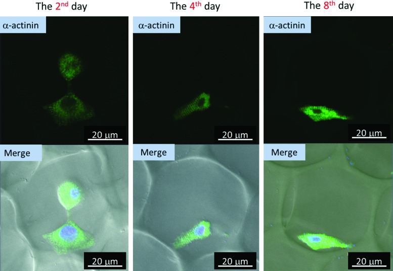 FIG. 7.