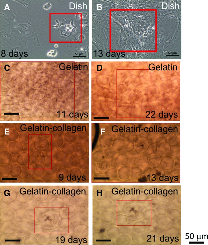 FIG. 8.