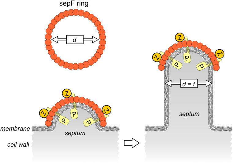 Fig. 5.