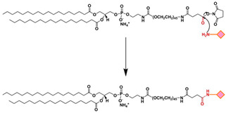 graphic file with name ijms-24-13262-i007.jpg