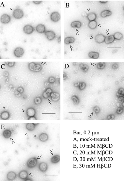 FIG. 6.