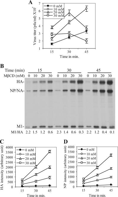 FIG. 2.