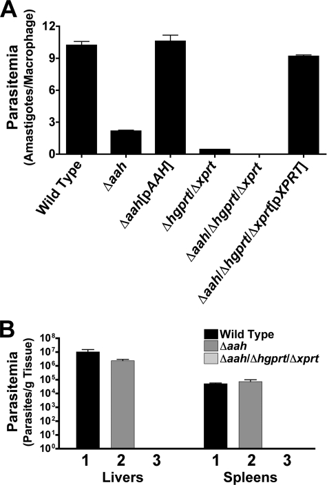 FIGURE 11.