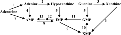 FIGURE 1.