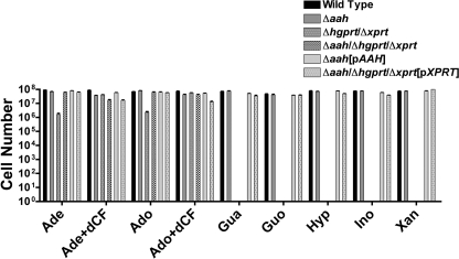 FIGURE 6.