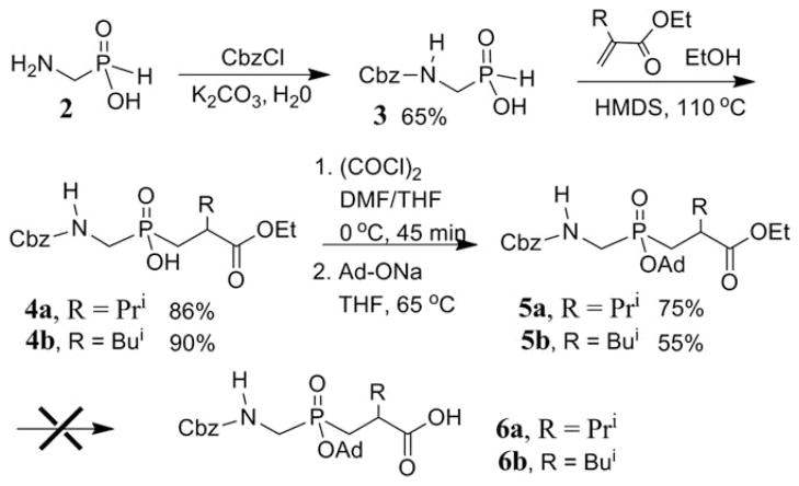 SCHEME 1