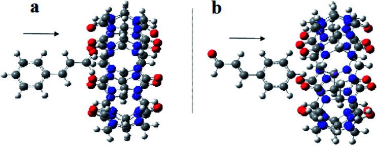 Fig. 10