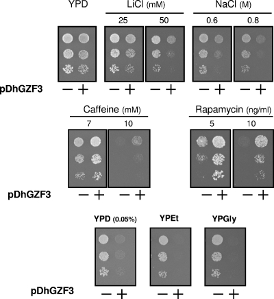 FIG. 2.