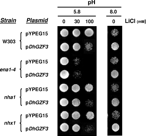 FIG. 4.