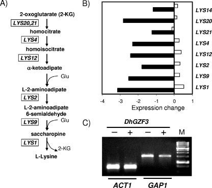 FIG. 7.