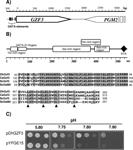 FIG. 1.