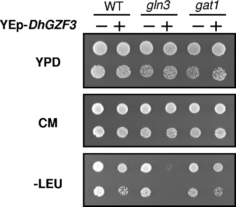 FIG. 6.