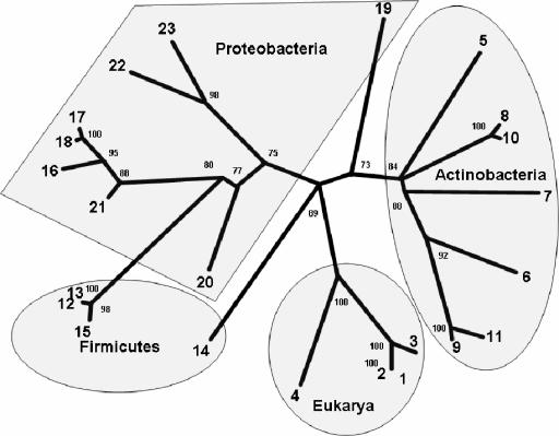 FIG. 6.