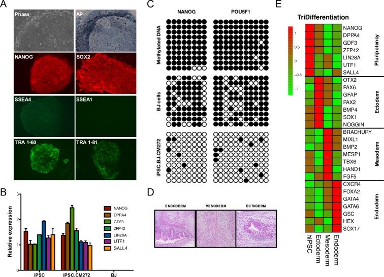 Fig 3