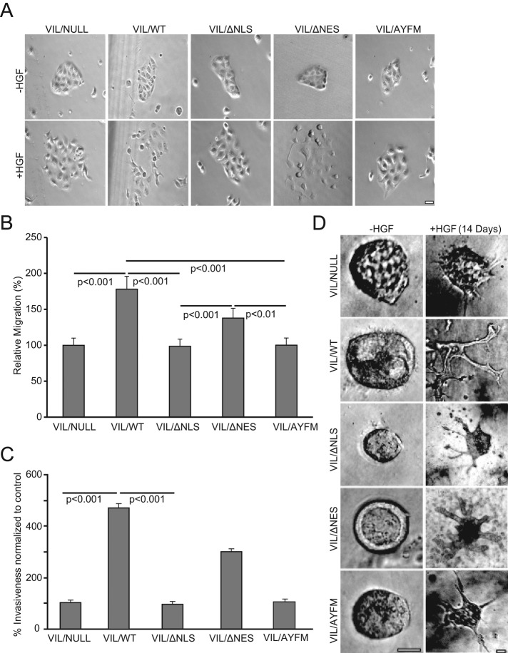 FIGURE 3: