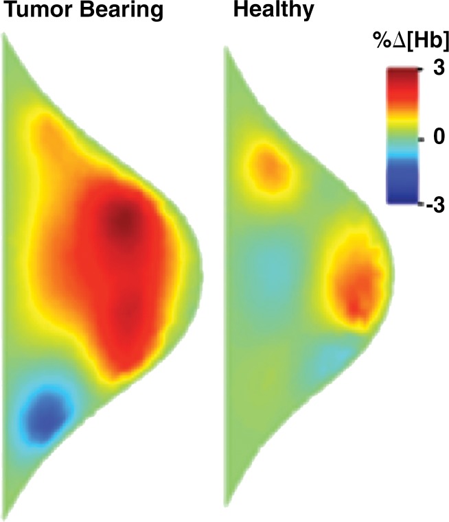 Figure 3b: