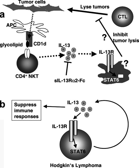 Fig. 2a, b