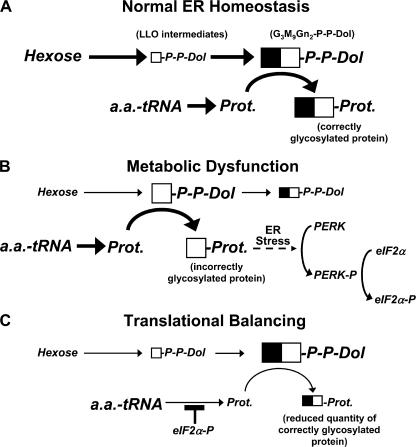 Figure 10.