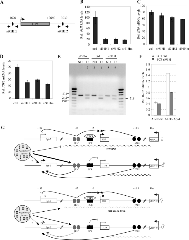 FIG. 8.