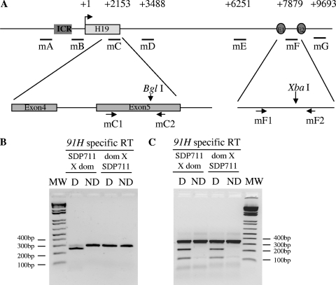 FIG. 7.