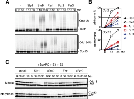 FIGURE 5: