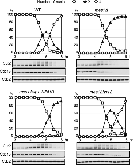 FIGURE 3: