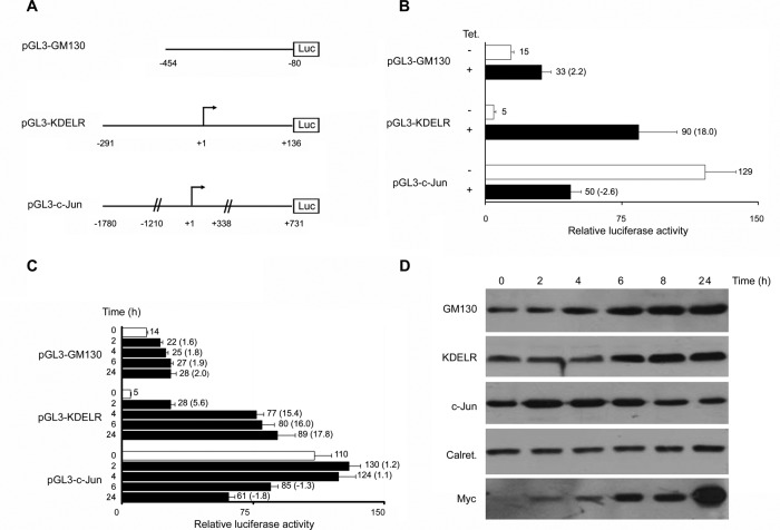 FIGURE 4: