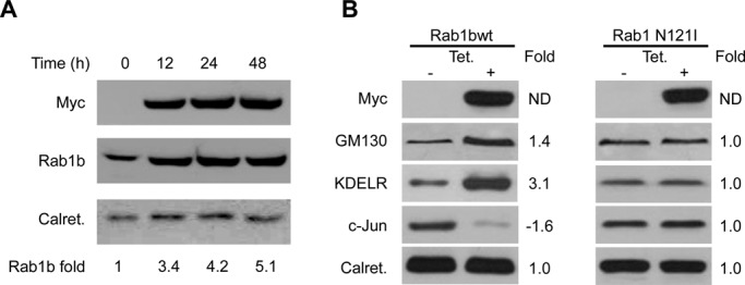 FIGURE 3: