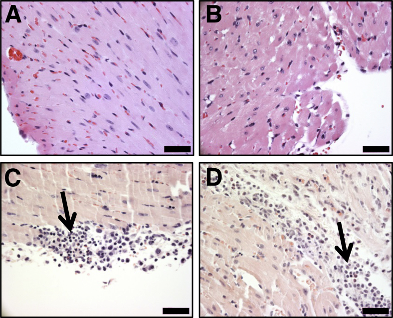 Figure 5