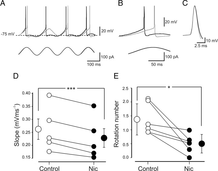 Figure 10.