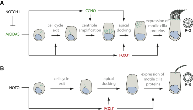 Figure 6