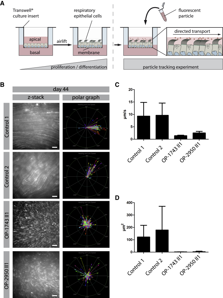 Figure 3