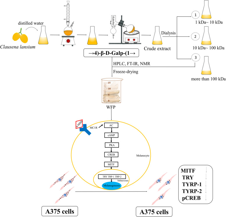 Fig. 11