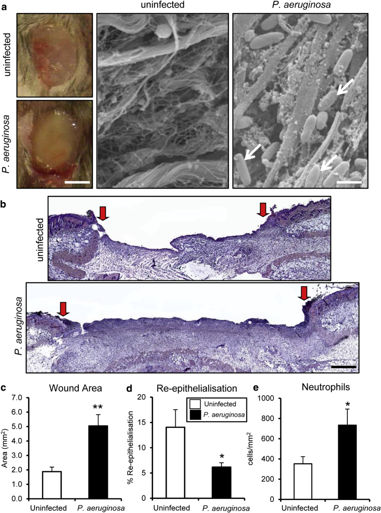 Figure 6