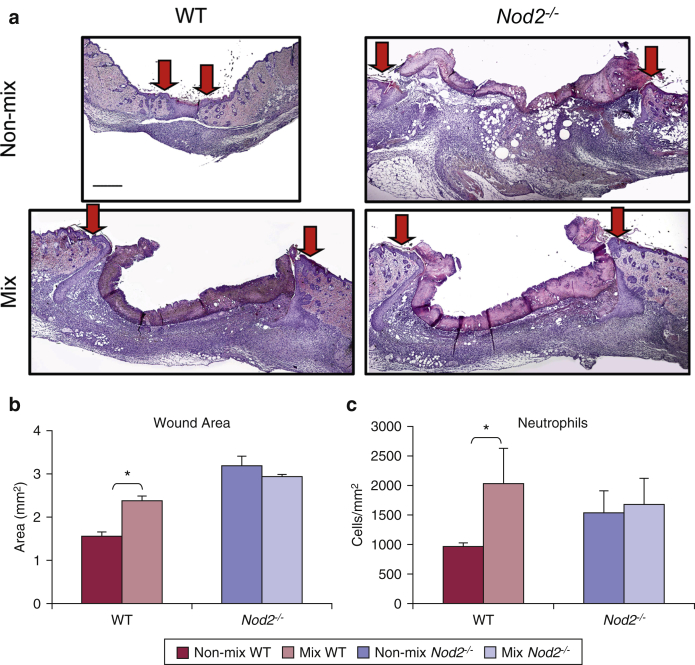 Figure 4