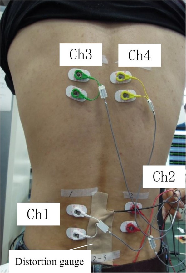 Fig. 3