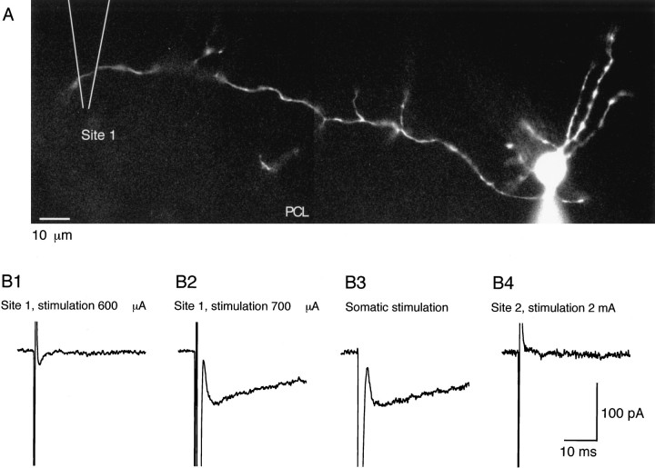 Fig. 9.