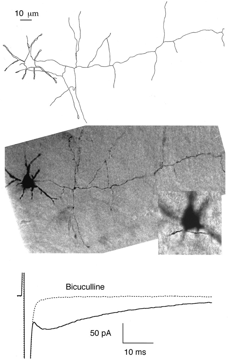 Fig. 8.