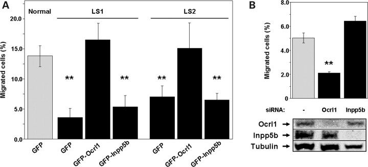 Figure 6.