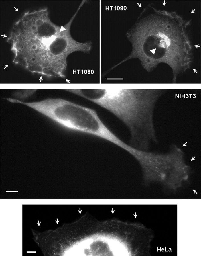 Figure 1.