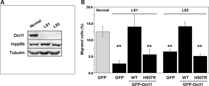 Figure 3.