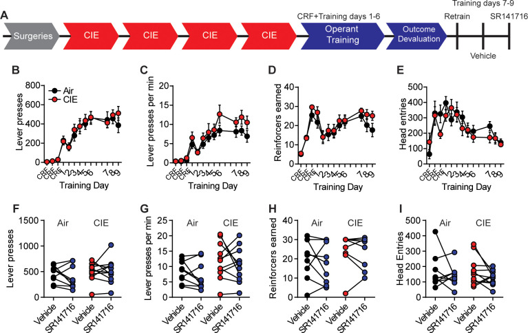 Figure 5—figure supplement 1.