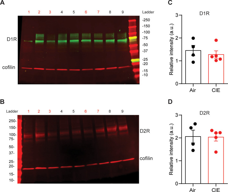 Figure 3—figure supplement 2.